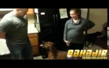 Anne karnındaki bebeği koruyan köpek