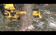 Ağaç kesme makinası