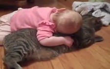 Kedinin yaramaz bebekle imtihanı SÜPERR :D