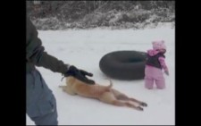 Bebeğe Karda Kayma Dersi Veren Köpek